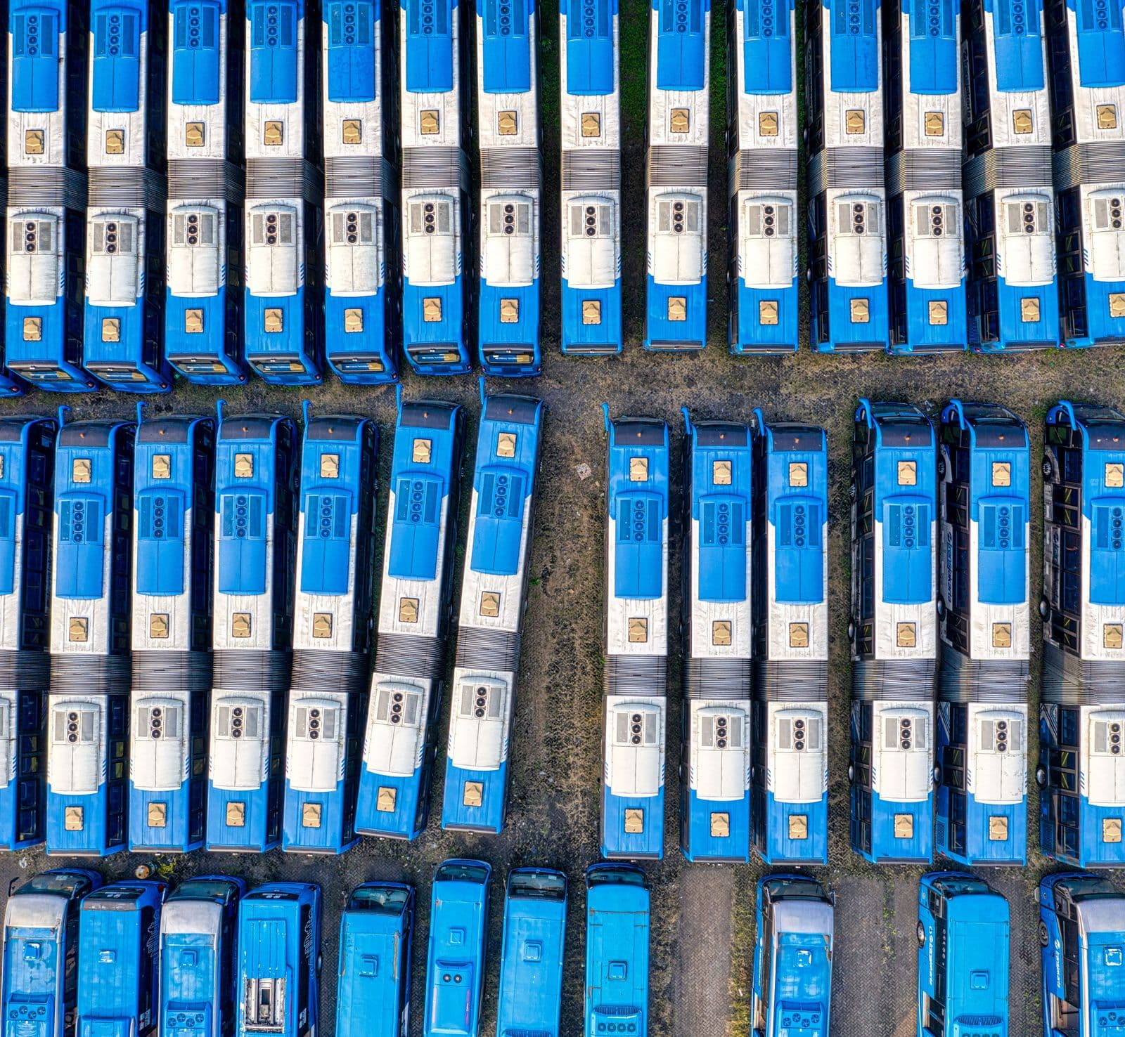 Rows of municipal buses parked in formation, seen from above